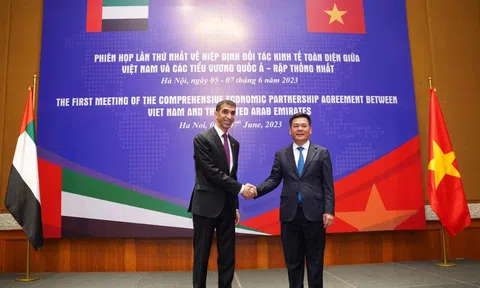 Đẩy nhanh đàm phán Hiệp định Đối tác kinh tế toàn diện Việt Nam-UAE